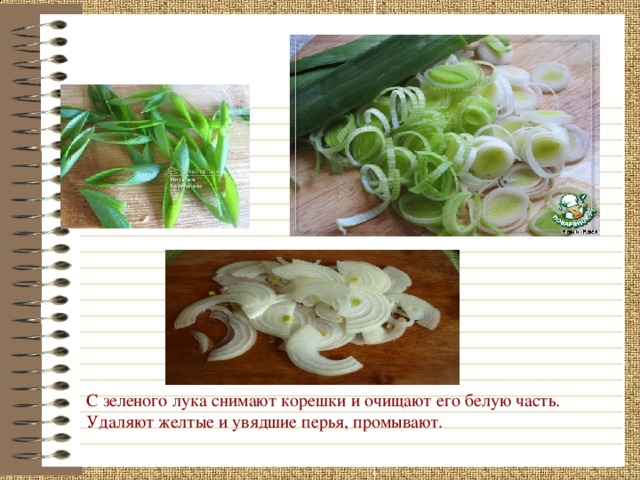 С зеленого лука снимают корешки и очищают его белую часть. Удаляют желтые и увядшие перья, промывают.  