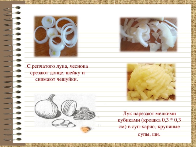С репчатого лука, чеснока срезают донце, шейку и снимают чешуйки. Лук нарезают мелкими кубиками (крошка 0,3 * 0,3 см) в суп-харчо, крупяные супы, щи .  