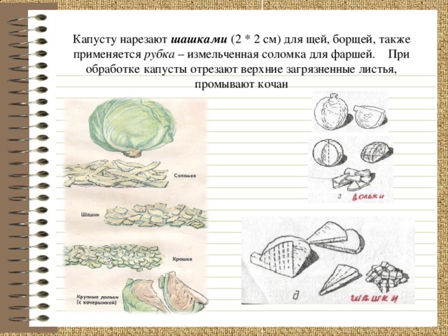 Капусту нарезают шашками (2 * 2 см) для щей, борщей, также применяется рубка – измельченная соломка для фаршей. При обработке капусты отрезают верхние загрязненные листья, промывают кочан  