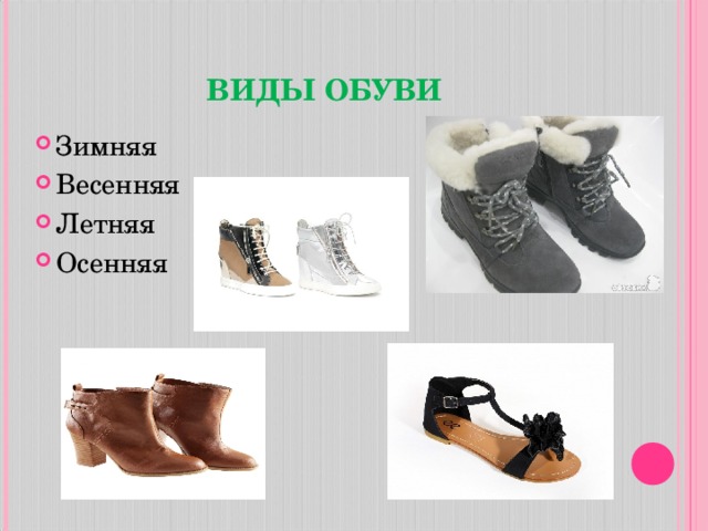 ВИДЫ ОБУВИ Зимняя Весенняя Летняя Осенняя  