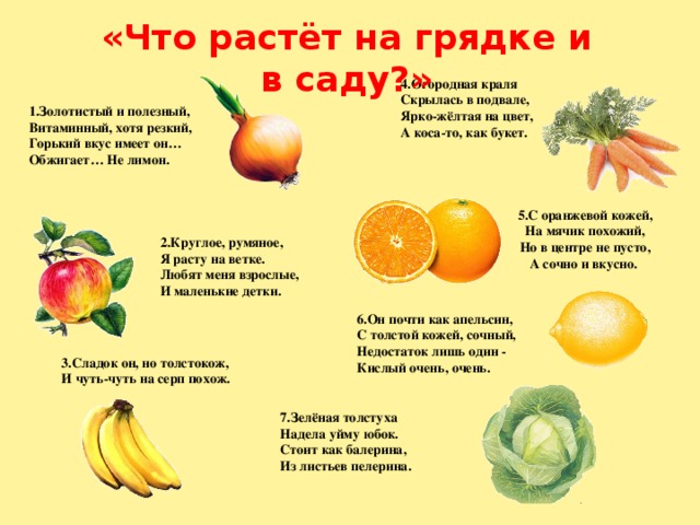 «Что растёт на грядке и в саду?» 4.Огородная краля  Скрылась в подвале,  Ярко-жёлтая на цвет,  А коса-то, как букет. 1.Золотистый и полезный,  Витаминный, хотя резкий,  Горький вкус имеет он…  Обжигает… Не лимон. 5.С оранжевой кожей,  На мячик похожий,  Но в центре не пусто,  А сочно и вкусно. 2.Круглое, румяное,  Я расту на ветке.  Любят меня взрослые,  И маленькие детки. 6.Он почти как апельсин,  С толстой кожей, сочный,  Недостаток лишь один -  Кислый очень, очень. 3.Сладок он, но толстокож,  И чуть-чуть на серп похож. 7.Зелёная толстуха  Надела уйму юбок.  Стоит как балерина,  Из листьев пелерина. 