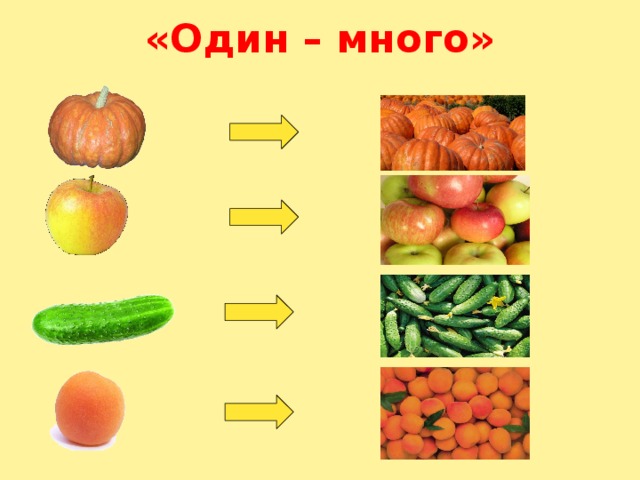 «Один – много» 
