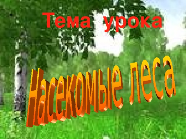 Тема урока 
