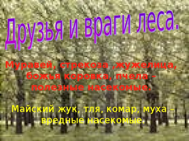  Муравей, стрекоза ,жужелица, божья коровка, пчела – полезные насекомые.   Майский жук, тля, комар, муха – вредные насекомые. 