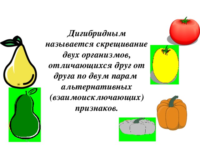 Дигибридным называется скрещивание двух организмов, отличающихся друг от друга по двум парам альтернативных (взаимоисключающих) признаков.  