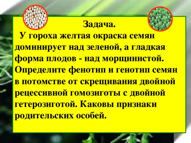 Задача.  У гороха желтая окраска семян доминирует над зеленой, а гладкая форма плодов - над морщинистой. Определите фенотип и генотип семян в потомстве от скрещивания двойной рецессивной гомозиготы с двойной гетерозиготой. Каковы признаки родительских особей.  