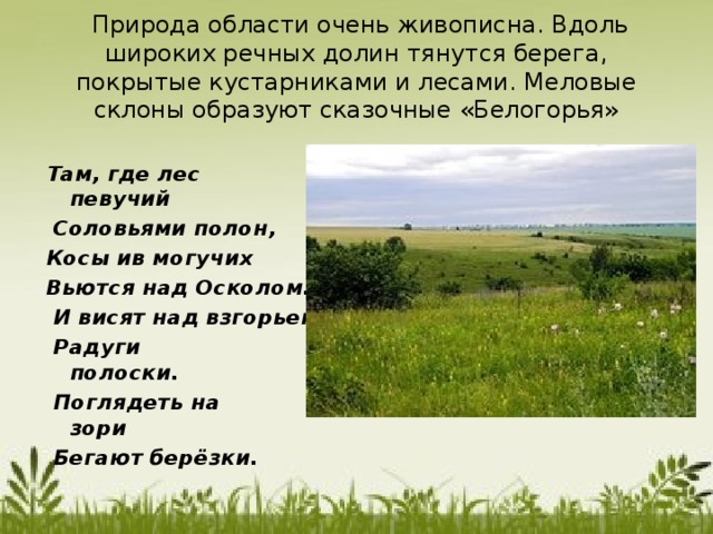   Природа области очень живописна. Вдоль широких речных долин тянутся берега, покрытые кустарниками и лесами. Меловые склоны образуют сказочные «Белогорья» Там, где лес певучий                    Соловьями полон,                   Косы ив могучих   Вьются над Осколом.                И висят над взгорьем     Радуги полоски.                              Поглядеть на зори                     Бегают берёзки. 