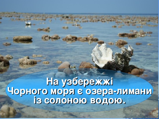 На узбережжі  Чорного моря є озера-лимани із солоною водою. 18 