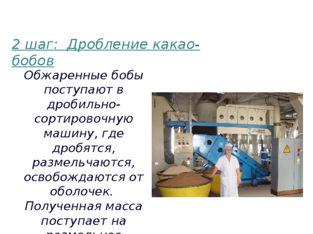 2 шаг: Дробление какао-бобов    Обжаренные бобы поступают в дробильно-сортировочную машину, где дробятся, размельчаются, освобождаются от оболочек. Полученная масса поступает на размольное оборудование 