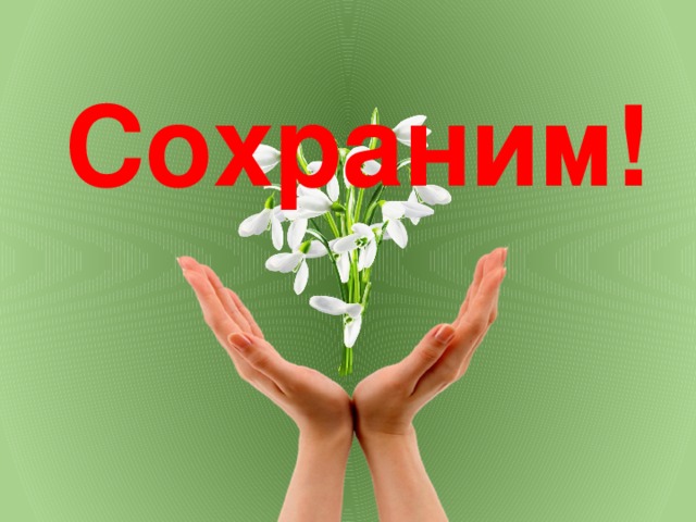Сохраним! 