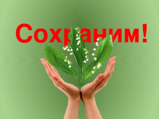Сохраним! 