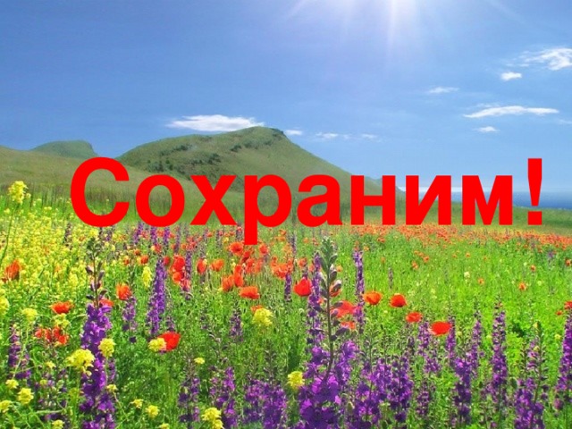 Сохраним! 