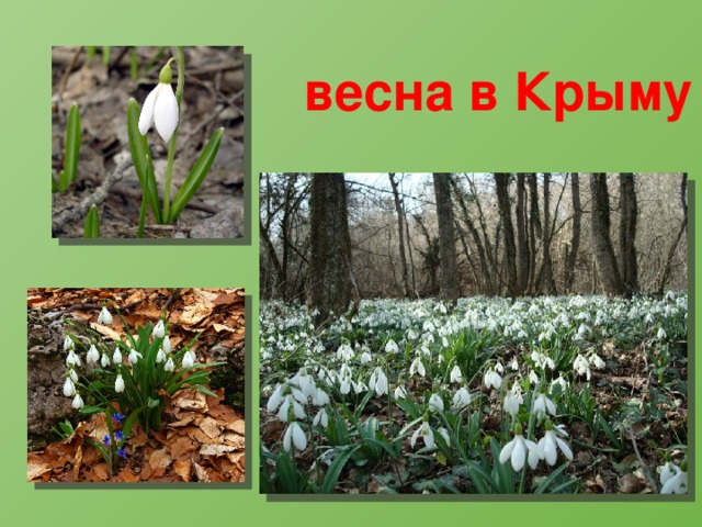 весна в Крыму 