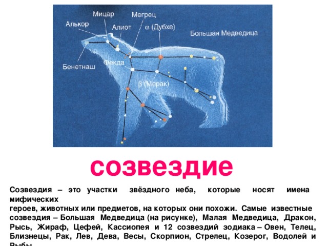 созвездие Созвездия – это участки звёздного неба, которые носят имена мифических героев, животных или предметов, на которых они похожи. Самые известные созвездия – Большая Медведица (на рисунке), Малая Медведица, Дракон, Рысь, Жираф, Цефей, Кассиопея и 12 созвездий зодиака – Овен, Телец, Близнецы, Рак, Лев, Дева, Весы, Скорпион, Стрелец, Козерог, Водолей и Рыбы. 