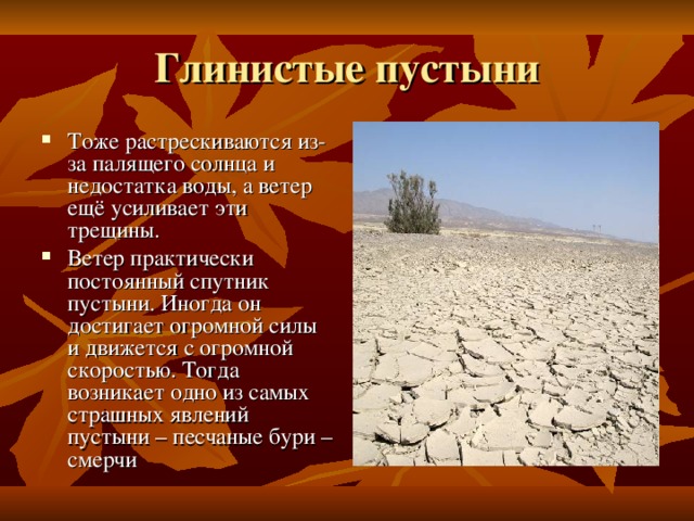 Глинистые пустыни Тоже растрескиваются из-за палящего солнца и недостатка воды, а ветер ещё усиливает эти трещины. Ветер практически постоянный спутник пустыни. Иногда он достигает огромной силы и движется с огромной скоростью. Тогда возникает одно из самых страшных явлений пустыни – песчаные бури – смерчи 