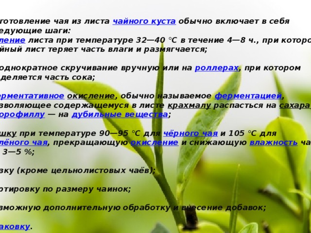 Изготовление чая из листа  чайного куста  обычно включает в себя следующие шаги: вяление   листа при температуре 32—40 °C в течение 4—8 ч., при котором чайный лист теряет часть влаги и размягчается;  неоднократное скручивание вручную или на  роллерах , при котором выделяется часть сока;  ферментативное   окисление , обычно называемое  ферментацией , позволяющее содержащемуся в листе  крахмалу  распасться на  сахара , а  хлорофиллу  — на  дубильные вещества ;  сушку   при температуре 90—95 °C для  чёрного чая  и 105 °C для  зелёного чая , прекращающую  окисление  и снижающую  влажность  чая до 3—5 %;  резку (кроме цельнолистовых чаёв);  сортировку по размеру чаинок;  возможную дополнительную обработку и внесение добавок;  упаковку . 