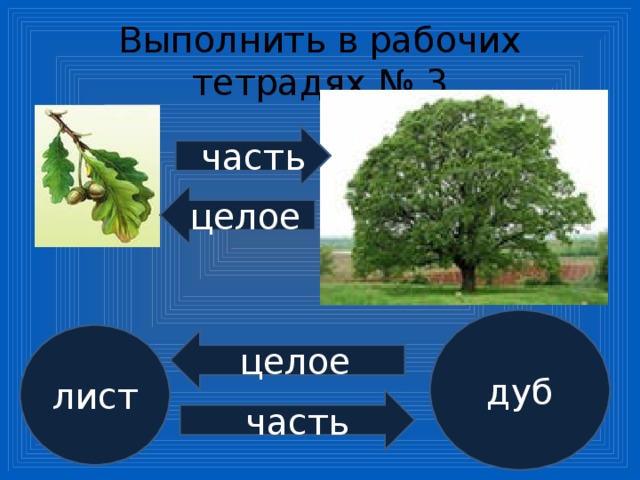 Выполнить в рабочих тетрадях № 3 часть целое дуб лист целое часть 