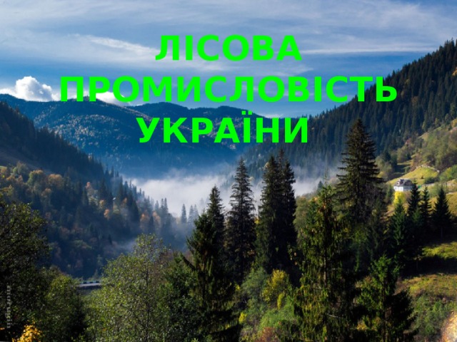 ЛІСОВА ПРОМИСЛОВІСТЬ УКРАЇНИ 