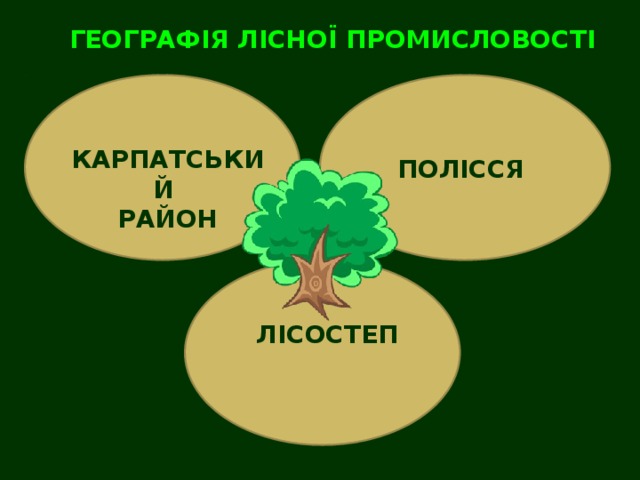ГЕОГРАФІЯ ЛІСНОЇ ПРОМИСЛОВОСТІ ПОЛІССЯ КАРПАТСЬКИЙ РАЙОН ЛІСОСТЕП 