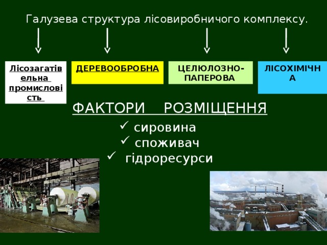 Галузева структура лісовиробничого комплексу. ЛІСОХІМІЧНА ЦЕЛЮЛОЗНО-ПАПЕРОВА ДЕРЕВООБРОБНА Лісозагатівельна промисловість   ФАКТОРИ РОЗМІЩЕННЯ  сировина  споживач  гідроресурси 