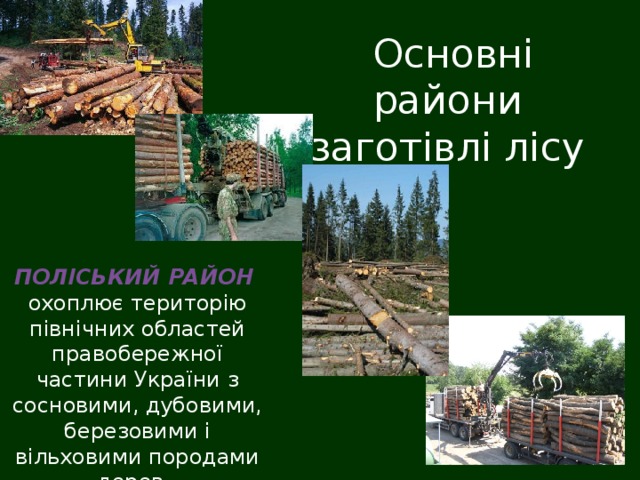  Основні райони заготівлі лісу ПОЛІСЬКИЙ РАЙОН охоплює територію північних областей правобережної частини України з сосновими, дубовими, березовими і вільховими породами дерев. 