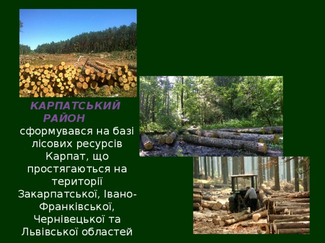 КАРПАТСЬКИЙ РАЙОН сформувався на базі лісових ресурсів Карпат, що простягаються на території Закарпатської, Івано-Франківської, Чернівецької та Львівської областей 