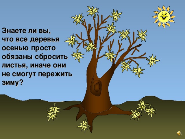 Знаете ли вы, что все деревья осенью просто обязаны сбросить листья, иначе они не смогут пережить зиму? 