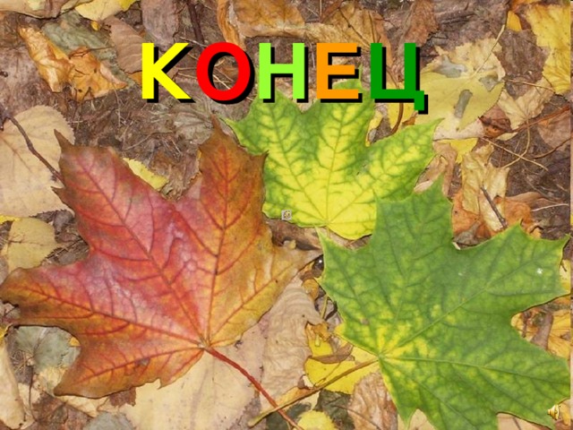 К О Н Е Ц 