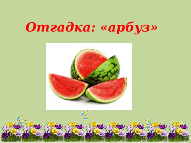 Отгадка: «арбуз»  