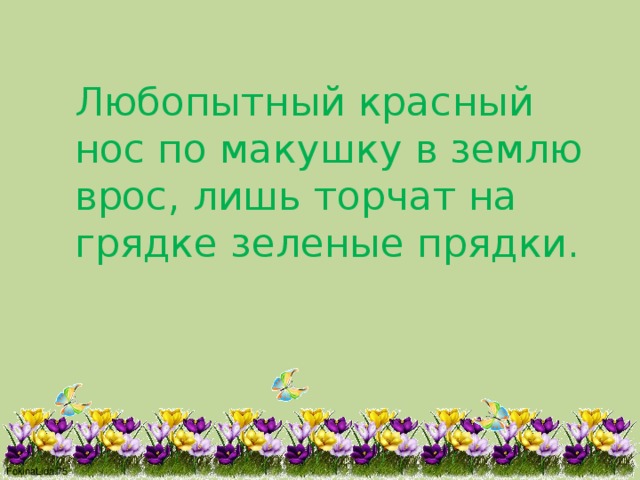 Любопытный красный нос по макушку в землю врос, лишь торчат на грядке зеленые прядки. 