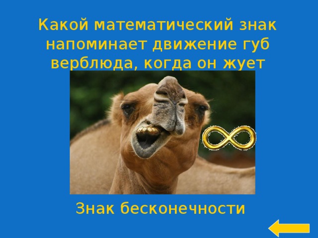 Какой математический знак напоминает движение губ верблюда, когда он жует жвачку? Знак бесконечности 