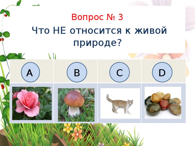 Вопрос № 3   Что НЕ относится к живой природе? B C D А B C 