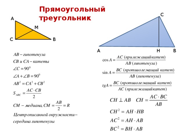 Прямоугольный треугольник С А М В С А В Н 