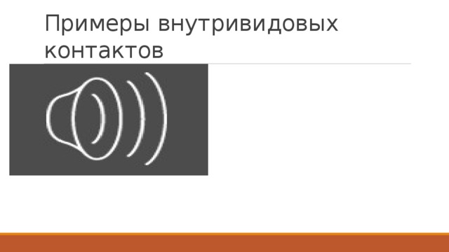 Примеры внутривидовых контактов См.видео/Сюда же: бои жирафов. Бои змей. Охота крокодила. Совместная охота горбатых китов и многое другое  