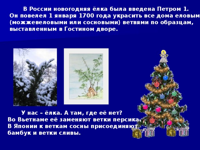  В России новогодняя ёлка была введена Петром 1.  Он повелел 1 января 1700 года украсить все дома еловыми  (можжевеловыми или сосновыми) ветвями по образцам,  выставленным в Гостином дворе.  У нас – ёлка. А там, где её нет? Во Вьетнаме её заменяют ветки персика. В Японии к веткам сосны присоединяют бамбук и ветки сливы.  