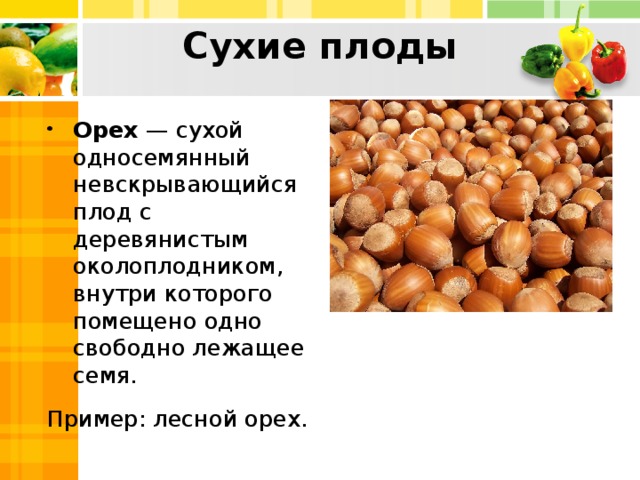 Сухие плоды Орех — сухой односемянный невскрывающийся плод с деревянистым околоплодником, внутри которого помещено одно свободно лежащее семя. Пример: лесной орех.