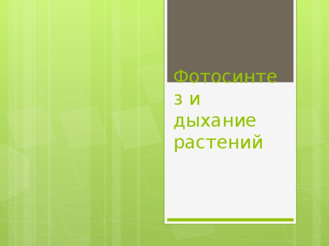 Фотосинтез и дыхание растений 
