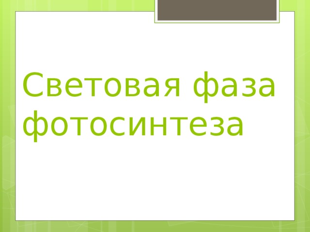 Световая фаза фотосинтеза   