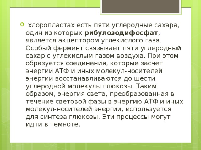   хлоропластах есть пяти углеродные сахара, один из которых  рибулозодифосфат , является акцептором углекислого газа. Особый фермент связывает пяти углеродный сахар с углекислым газом воздуха. При этом образуется соединения, которые засчет энергии АТФ и иных молекул-носителей энергии восстанавливаются до шести углеродной молекулы глюкозы. Таким образом, энергия света, преобразованная в течение световой фазы в энергию АТФ и иных молекул-носителей энергии, используется для синтеза глюкозы. Эти процессы могут идти в темноте.   