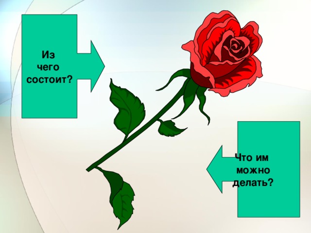 Из чего состоит? Что им можно делать? 