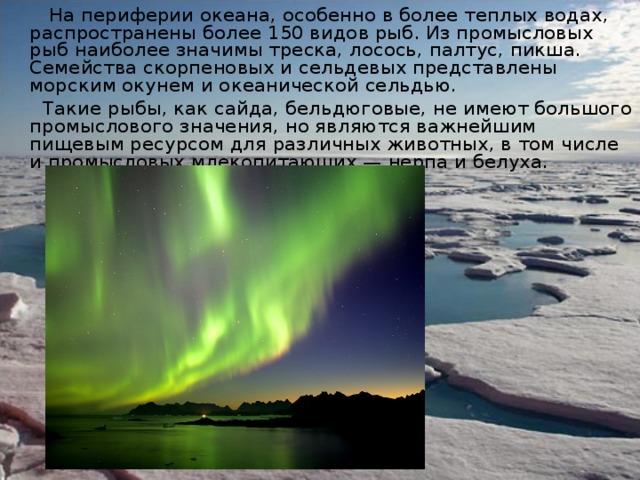  На периферии океана, особенно в более теплых водах, распространены более 150 видов рыб. Из промысловых рыб наиболее значимы треска, лосось, палтус, пикша. Семейства скорпеновых и сельдевых представлены морским окунем и океанической сельдью.  Такие рыбы, как сайда, бельдюговые, не имеют большого промыслового значения, но являются важнейшим пищевым ресурсом для различных животных, в том числе и промысловых млекопитающих — нерпа и белуха. 