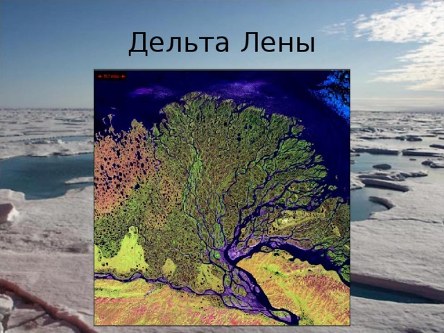 Дельта Лены 