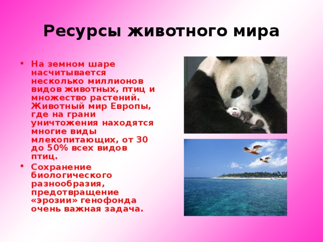 Ресурсы животного мира На земном шаре насчитывается несколько миллионов видов животных, птиц и множество растений. Животный мир Европы, где на грани уничтожения находятся многие виды млекопитающих, от 30 до 50% всех видов птиц. Сохранение биологического разнообразия, предотвращение «эрозии» генофонда очень важная задача. 