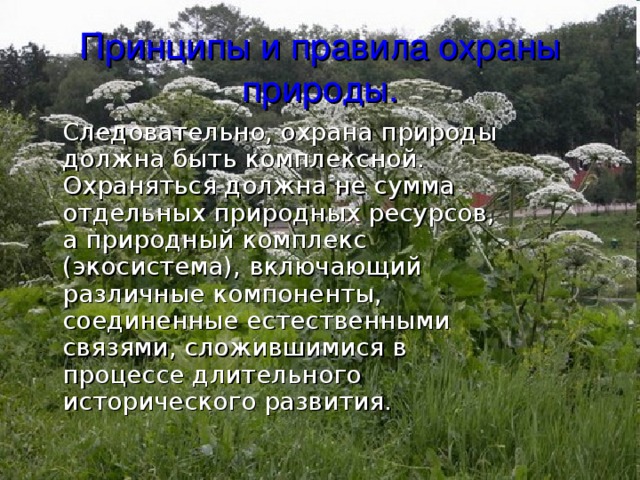 Принципы и правила охраны природы.  Следовательно, охрана природы должна быть комплексной. Охраняться должна не сумма отдельных природных ресурсов, а природный комплекс (экосистема), включающий различные компоненты, соединенные естественными связями, сложившимися в процессе длительного исторического развития. 