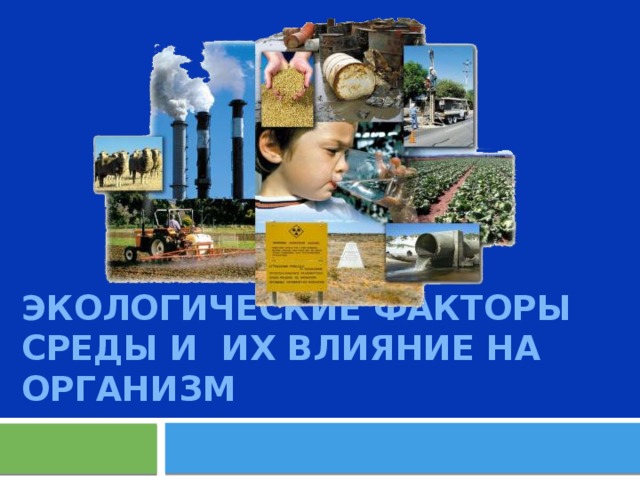 Экологические факторы среды и их влияние на организм 