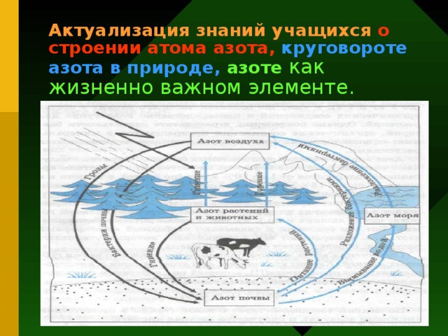 Актуализация знаний учащихся о строении атома азота,  круговороте азота в природе,  азоте как жизненно важном элементе. 