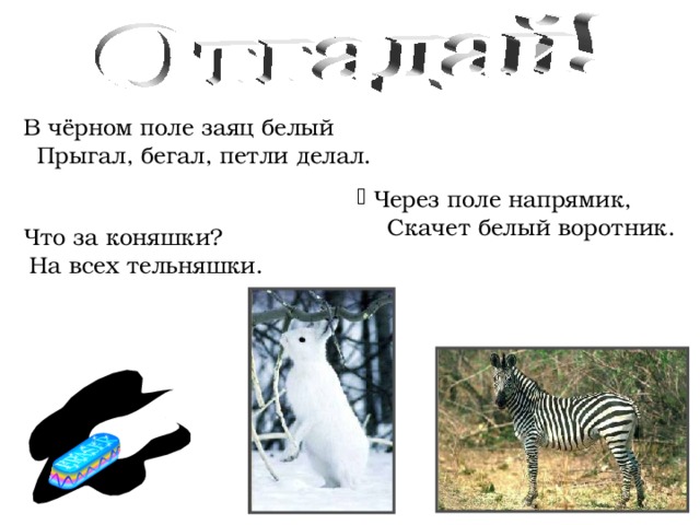  В чёрном поле заяц белый  Прыгал, бегал, петли делал.  Через поле напрямик,  Скачет белый воротник.  Что за коняшки?  На всех тельняшки. 