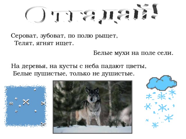  Сероват, зубоват, по полю рыщет,  Телят, ягнят ищет.   Белые мухи на поле сели.  На деревья, на кусты с неба падают цветы,  Белые пушистые, только не душистые. 