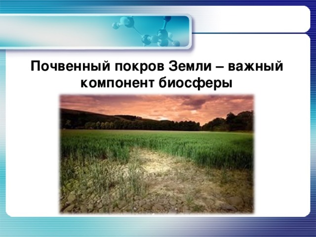Почвенный покров Земли – важный компонент биосферы 