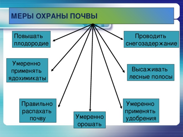 МЕРЫ ОХРАНЫ ПОЧВЫ Повышать плодородие Проводить снегозадержание Умеренно применять ядохимикаты Высаживать лесные полосы Умеренно применять удобрения Правильно распахать почву Умеренно орошать 